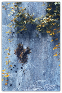 Mainka Jürgen Bild 04 Natur ART Ausstellung 2026