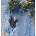 Mainka Jürgen Bild 04 Natur ART Ausstellung 2026