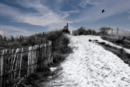 Passauer Bernd Am Strand